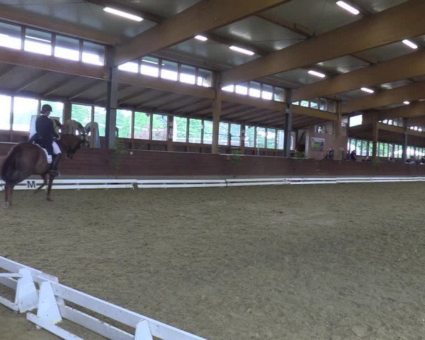 Reitturnier Coesfeld/Lette 2022