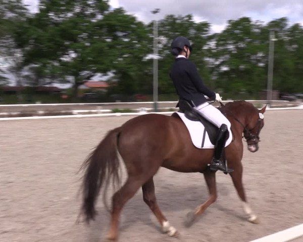 Reitturnier Schönwalde-Glien 2022