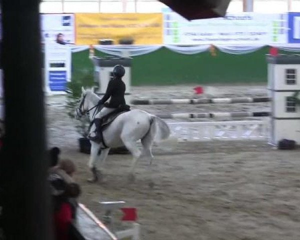 jumper Hötzenhof Mulan (German Riding Pony, 2002, from Mentos)