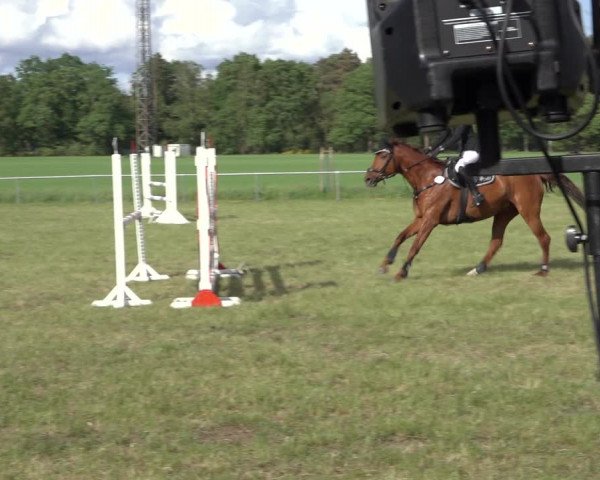 Reitturnier Alvern 2022