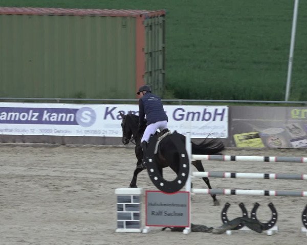 Reitturnier Harsum-Hüddessum 2022