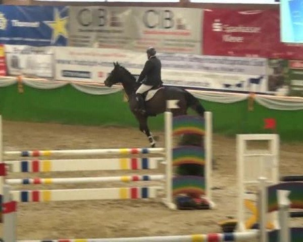 jumper Con Casco (Holsteiner, 2007, from Contender)