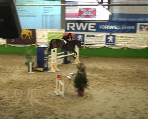 broodmare La Corvara W. (Rhinelander, 2008, from Lord Lancer)