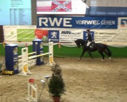 broodmare Cheyenne Pepper 3 (Rhinelander, 2007, from Completto 2)