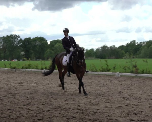 Reitturnier Alvern 2022