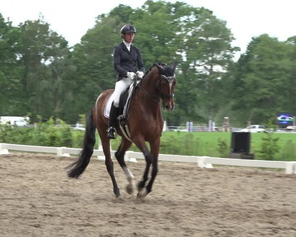 Reitturnier Alvern 2022