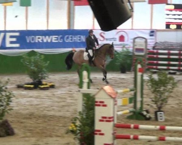 jumper La Sandro 2 (Rhinelander, 2007, from Lord Lancer)