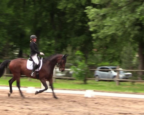 Reitturnier Helmsdorf 2022