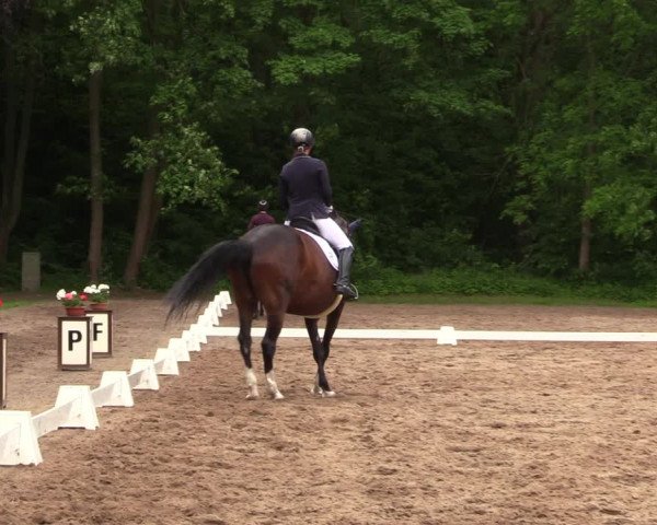 Reitturnier Helmsdorf 2022