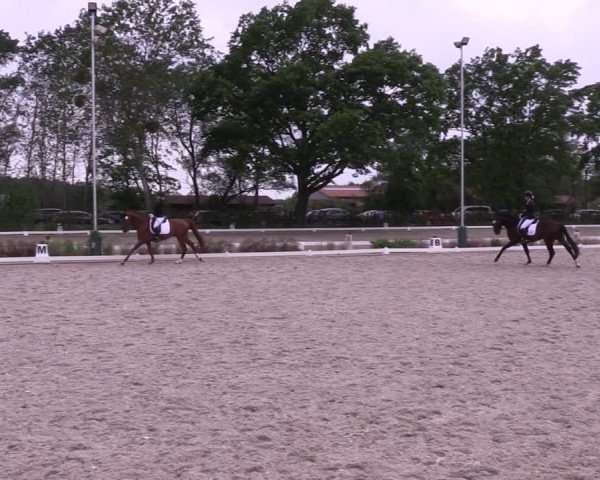 Reitturnier Schönwalde-Glien 2022