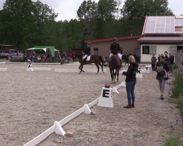 Reitturnier Schönwalde-Glien 2022