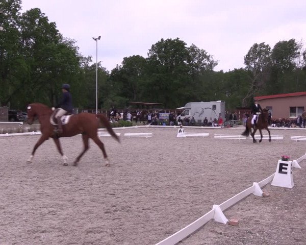 Reitturnier Schönwalde-Glien 2022