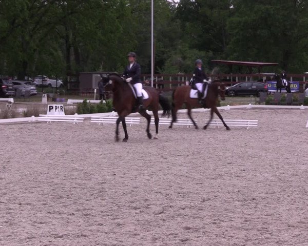 Reitturnier Schönwalde-Glien 2022