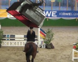 Springpferd Dolando 7 (KWPN (Niederländisches Warmblut), 2008, von Unistar)