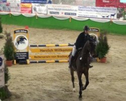 jumper Chopin 95 (Rhinelander, 2008, from Completto 2)