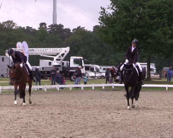Reitturnier Coesfeld/Lette 2022