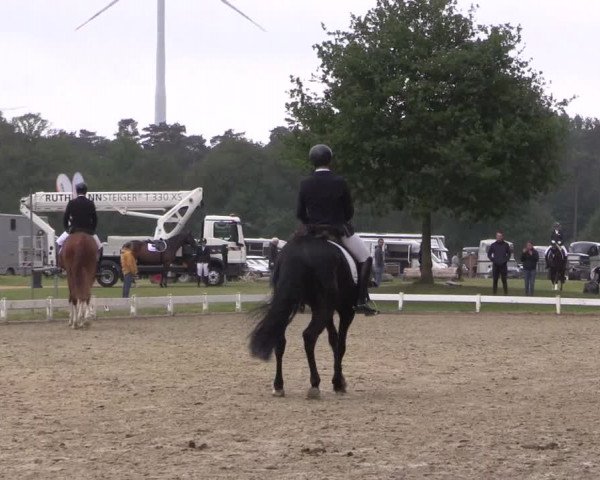 Reitturnier Coesfeld/Lette 2022