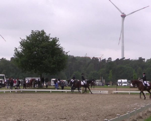 Reitturnier Coesfeld/Lette 2022