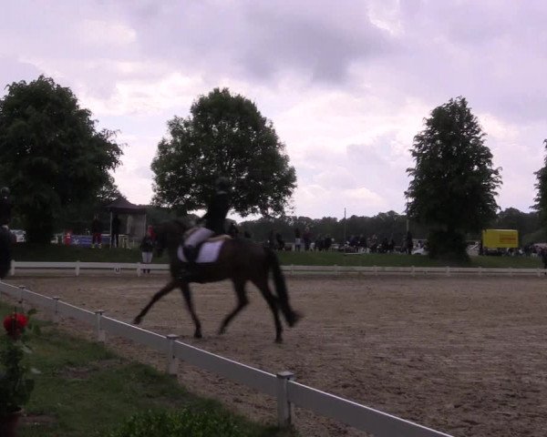 Reitturnier Coesfeld/Lette 2022