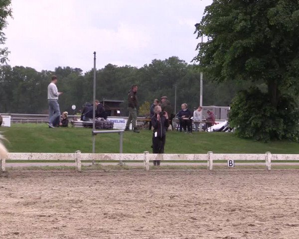 Reitturnier Coesfeld/Lette 2022