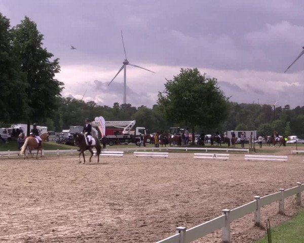 Reitturnier Coesfeld/Lette 2022