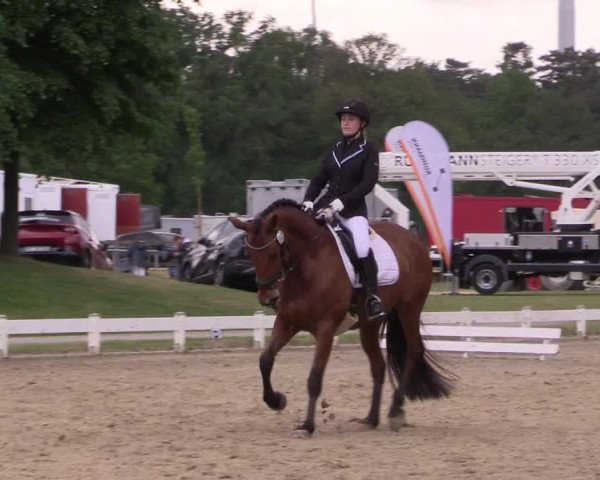 Reitturnier Coesfeld/Lette 2022