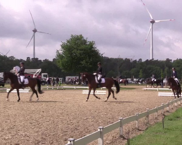 Reitturnier Coesfeld/Lette 2022