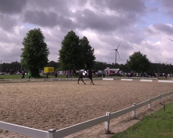 Reitturnier Coesfeld/Lette 2022