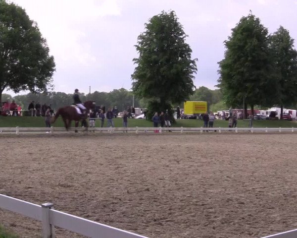 Reitturnier Coesfeld/Lette 2022