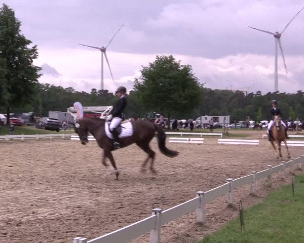 Reitturnier Coesfeld/Lette 2022