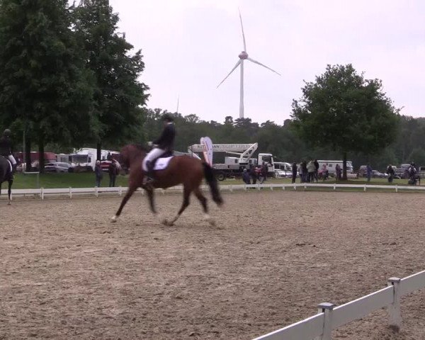 Reitturnier Coesfeld/Lette 2022