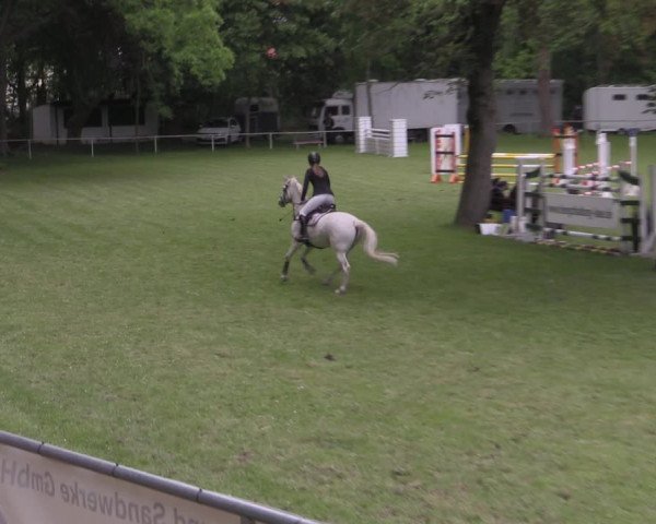 Reitturnier Helmsdorf 2022