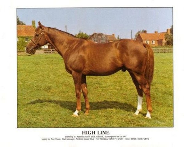 stallion High Line xx (Thoroughbred, 1966, from High Hat xx)
