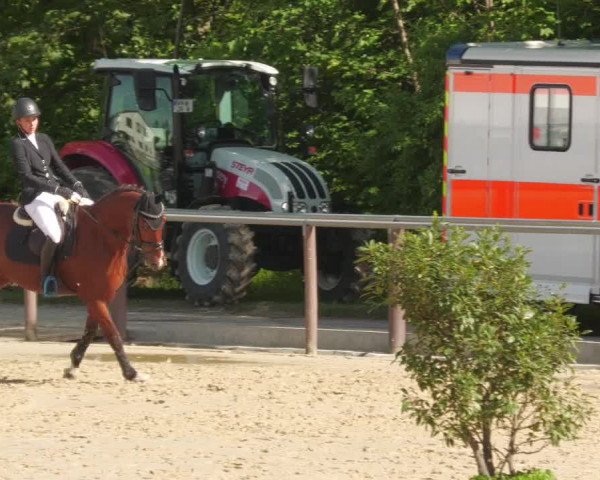 Reitturnier Winnenden 2022