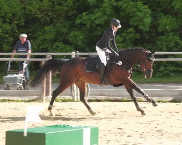 Reitturnier Winnenden 2022