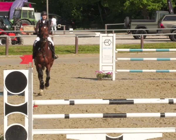 Reitturnier Winnenden 2022