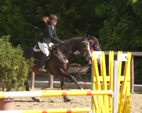 Reitturnier Winnenden 2022