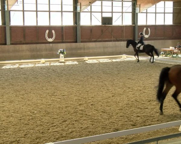 Reitturnier Köln-Leverkusen 2022