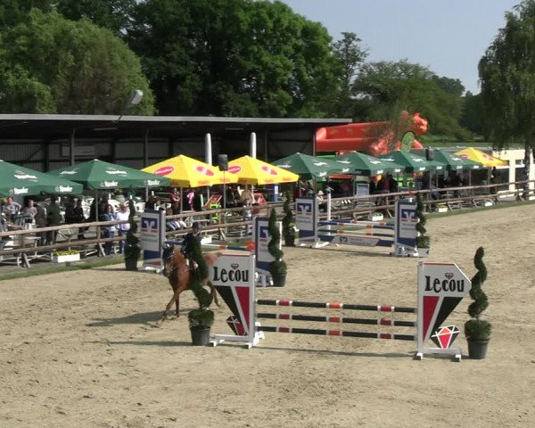 Reitturnier Kirchhellen/Stall Dieckmann 2022