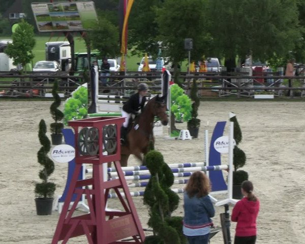 Reitturnier Kirchhellen/Stall Dieckmann 2022