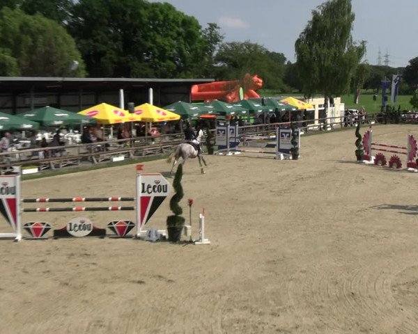 Reitturnier Kirchhellen/Stall Dieckmann 2022