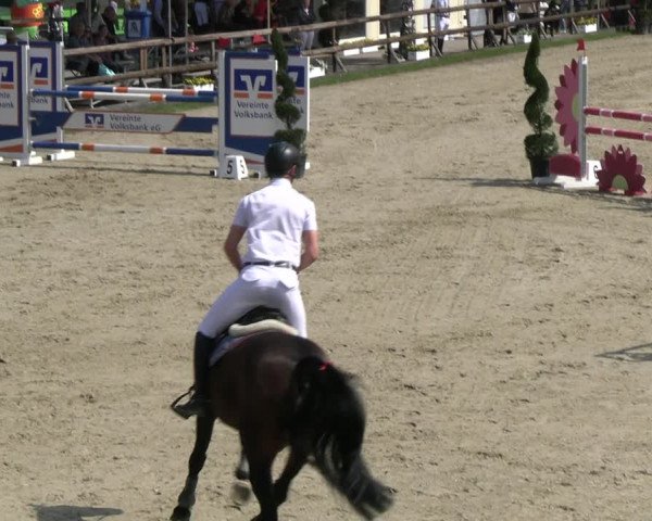Reitturnier Kirchhellen/Stall Dieckmann 2022