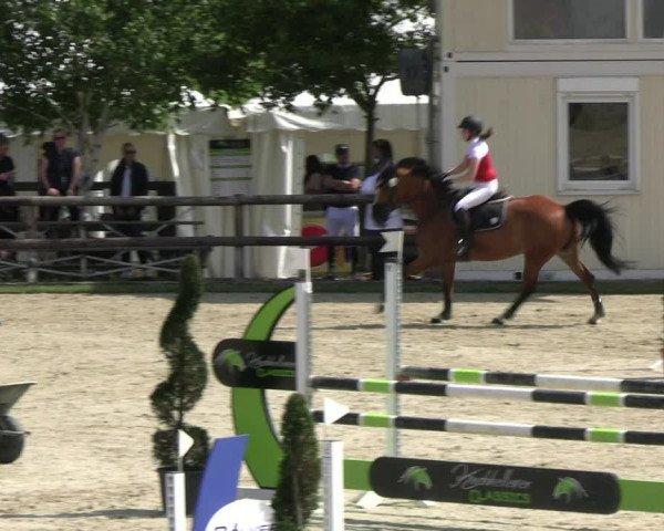 Reitturnier Kirchhellen/Stall Dieckmann 2022