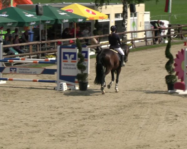 Reitturnier Kirchhellen/Stall Dieckmann 2022