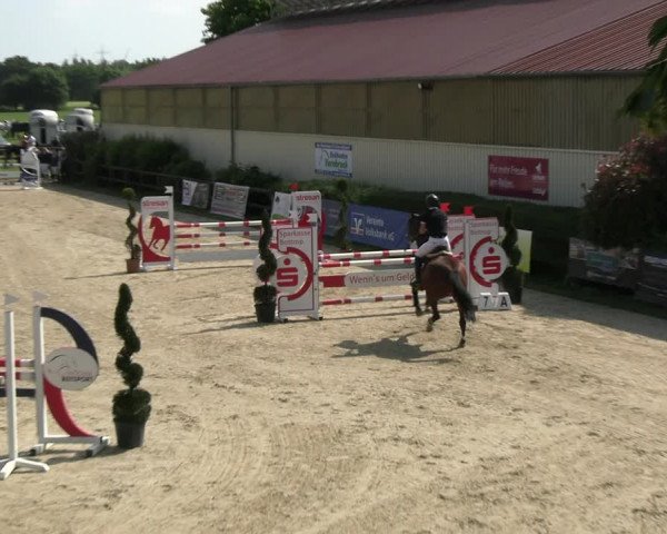 Reitturnier Kirchhellen/Stall Dieckmann 2022