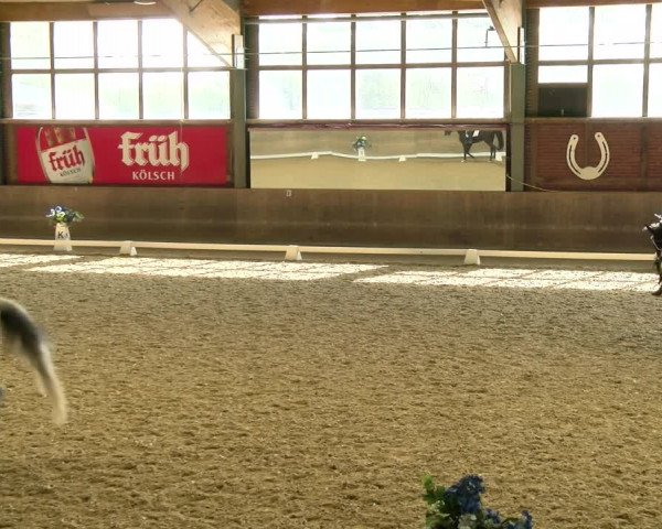 Reitturnier Köln-Leverkusen 2022