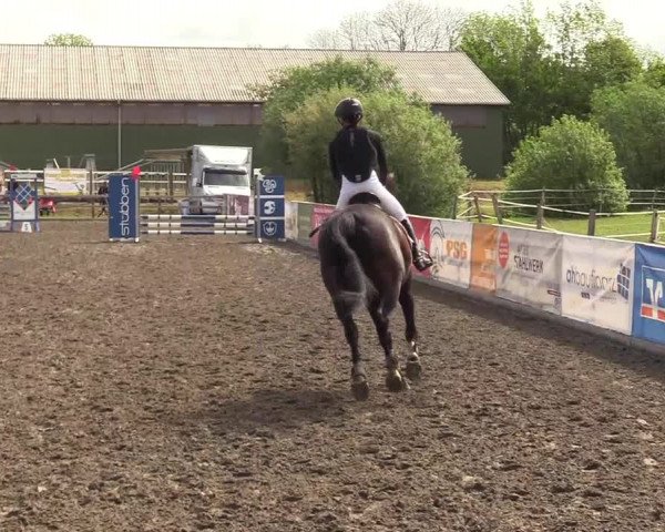 Reitturnier Kleinsolt 2022