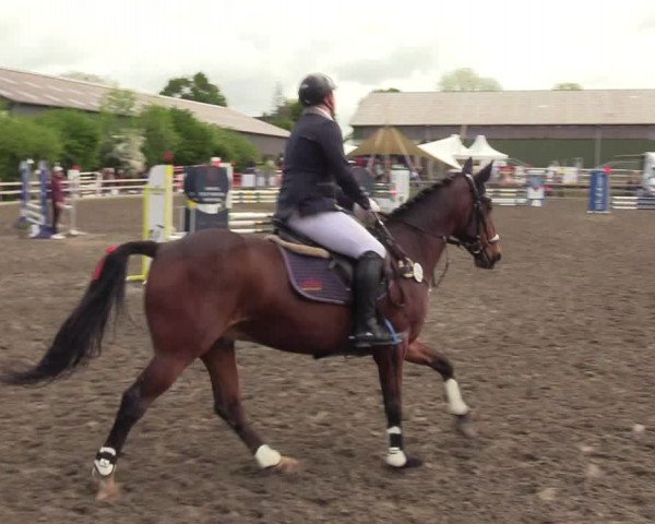 Reitturnier Kleinsolt 2022