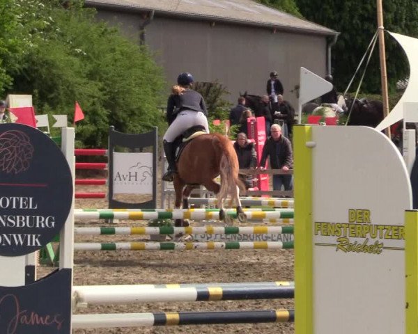 Reitturnier Kleinsolt 2022
