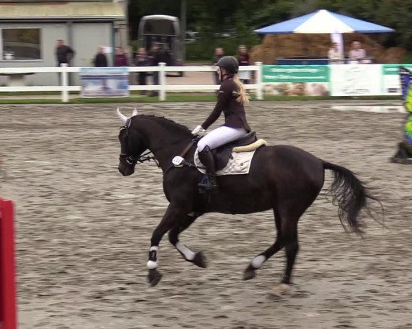 Springturnier Mildstedt 2021